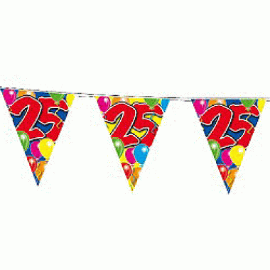 2x vlaglijn 25 jaar 10 meter
